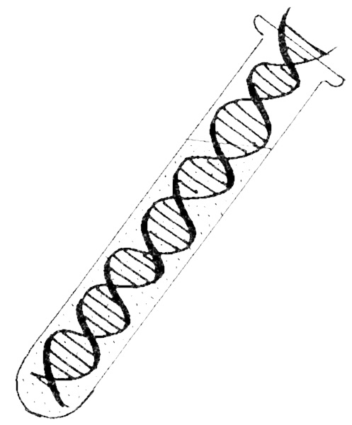 QGEN - Vyšetření DNA