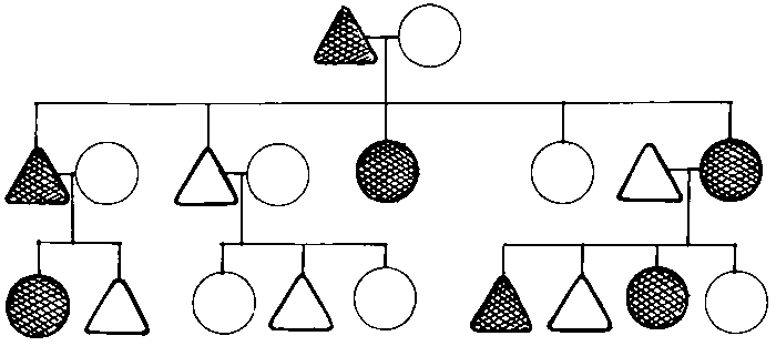 QGEN - Dědičnost