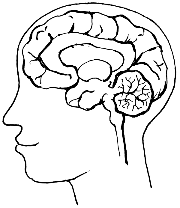 QGEN - Neurologie